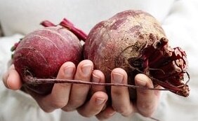 выращивание свеклы в открытом грунте
